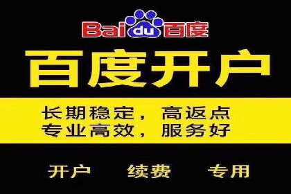 行业领先企业的网络推广与竞价经验